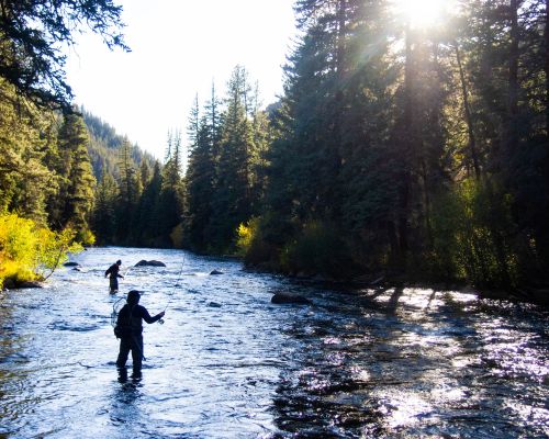 fall fly fishing gunnison