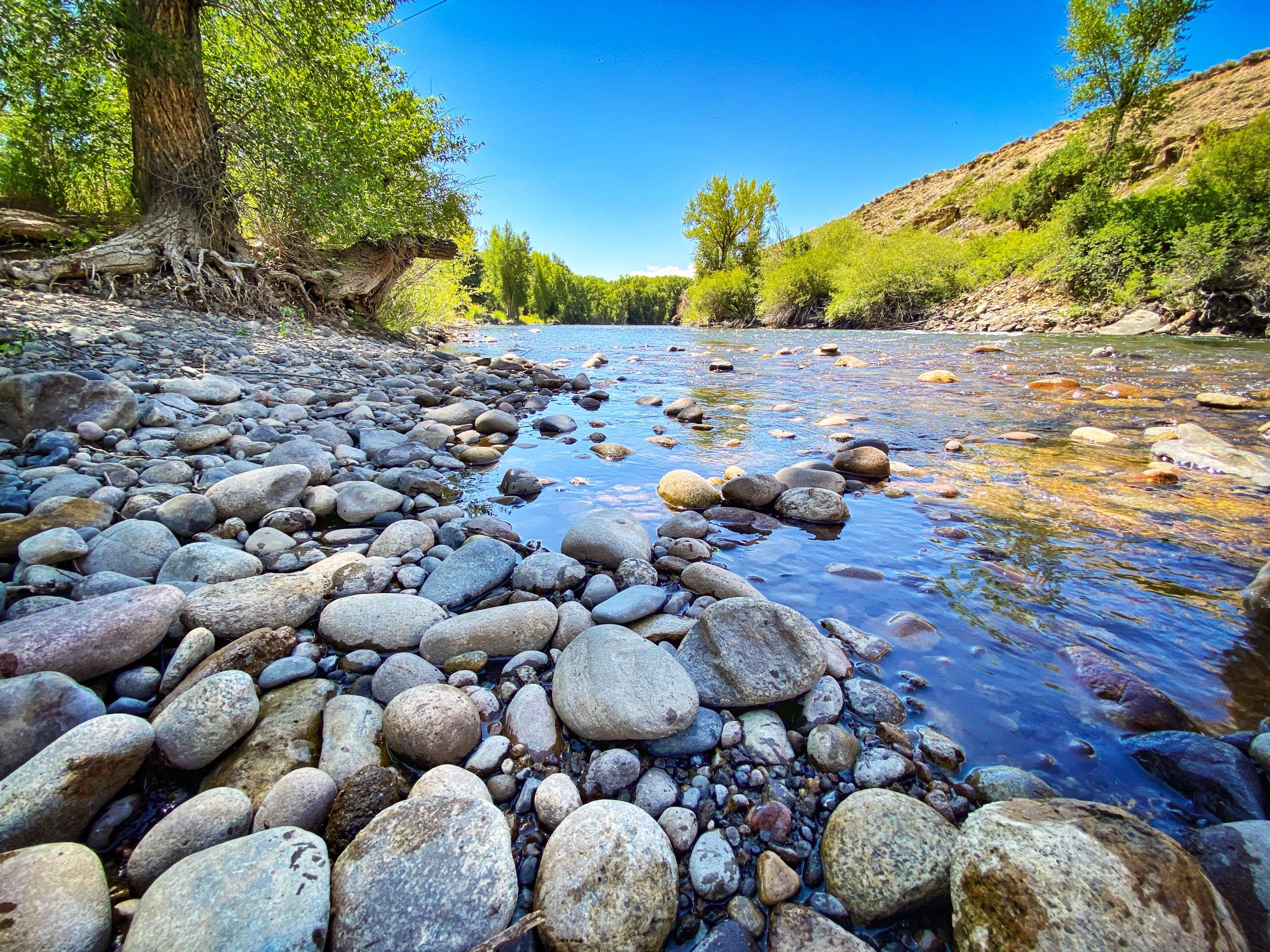 The rocky bank of the Gunnison River in late summer