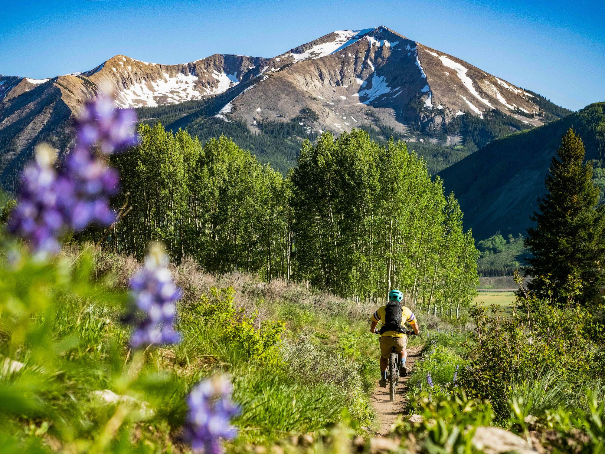 mountain biking crested butte