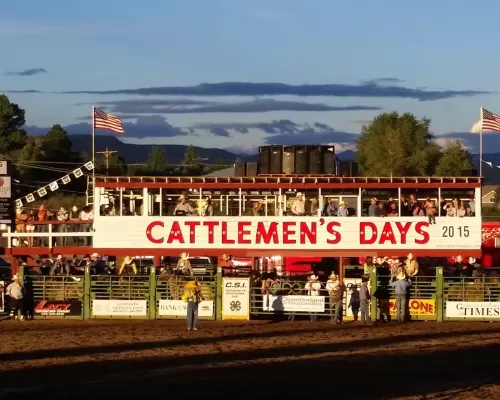 cattlemens-days-rodeo-gunnison. A grandstand has the words "Cattlemen's Days." It overlooks a rodeo arena and barriers that cattle are behind.