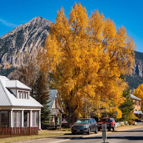 A view of a street with a mountain peak and a tree bursting with fall leaves
