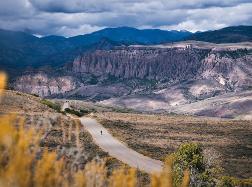 Three people ride gravel bikes on a path lined by fall trees