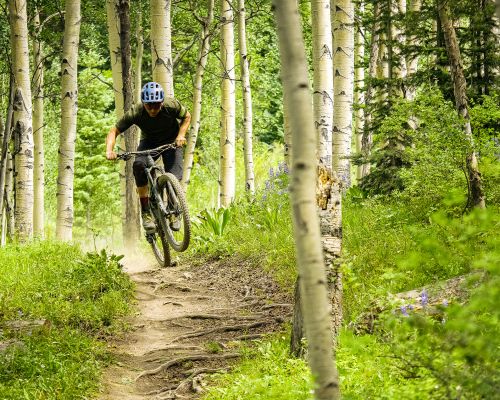 Trail 409.5 in Crested Butte, Colorado.