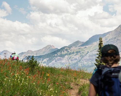 A person hiking on a dirt trail with the Crested Butte Wildflower Festival. Mountains stand in the distance.