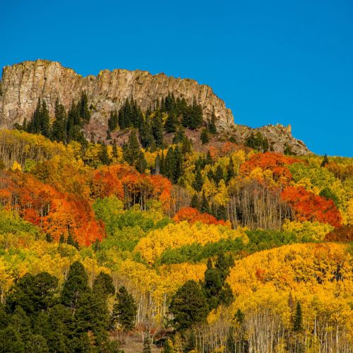 Kebler Pass in fall