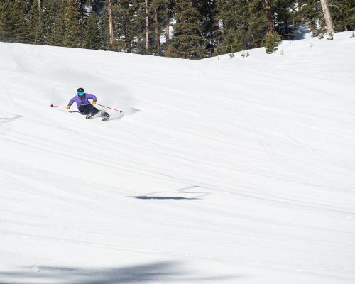 Blister testing skiing equipment.