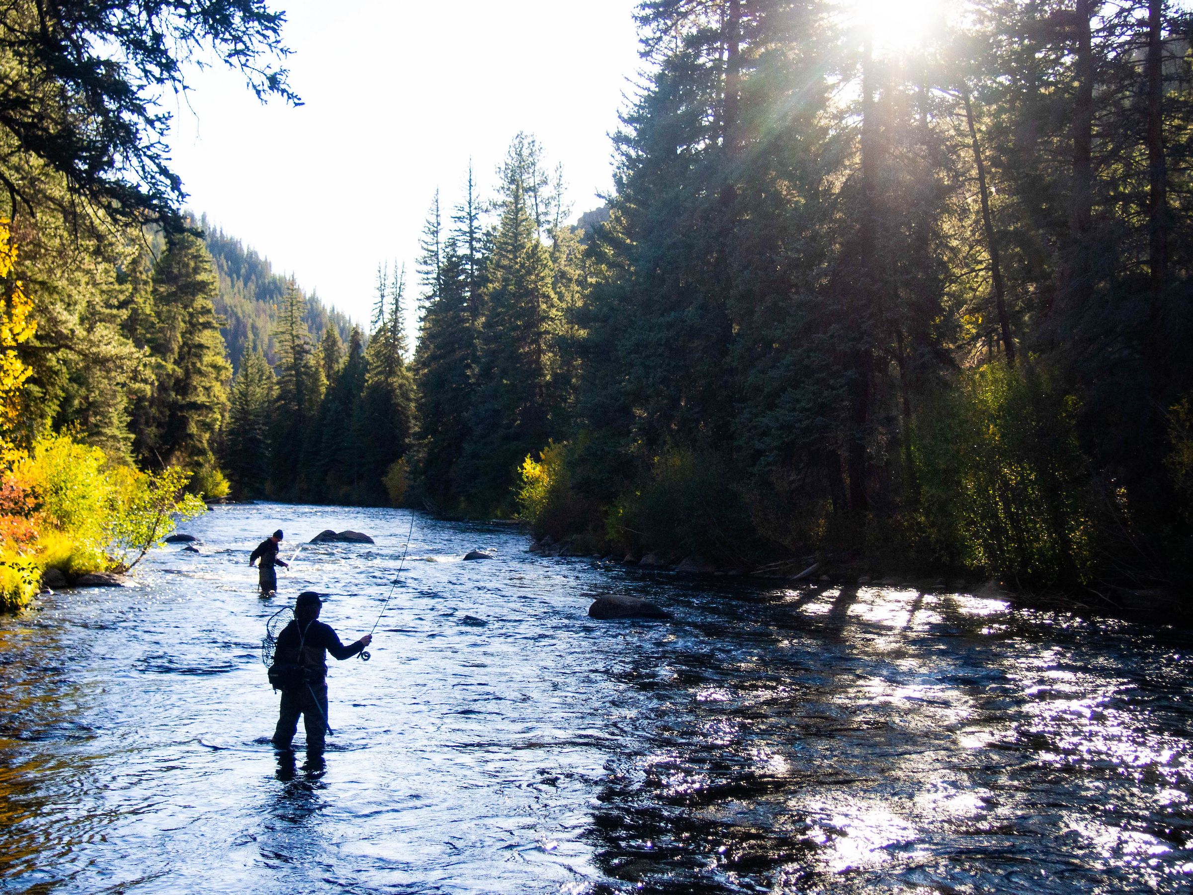 fall fly fishing gunnison