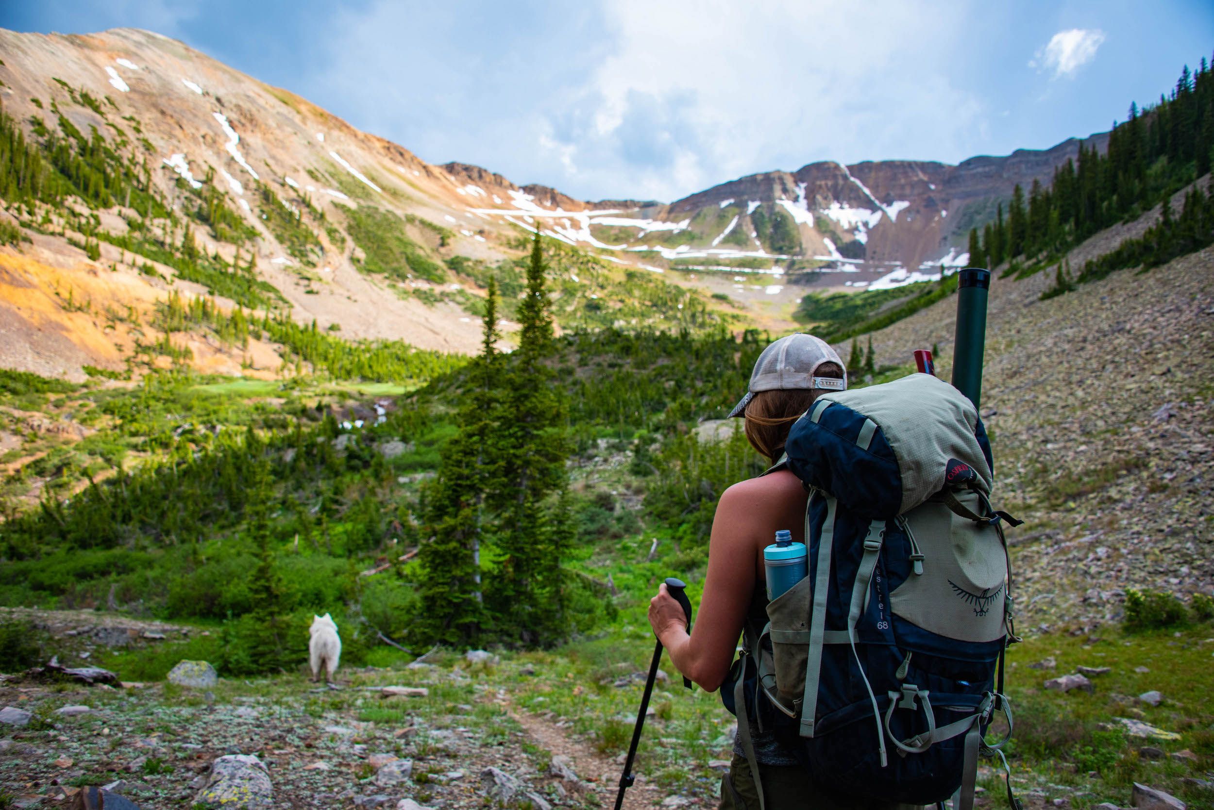 A person wearing a backpack hikes on a trail behind a dog