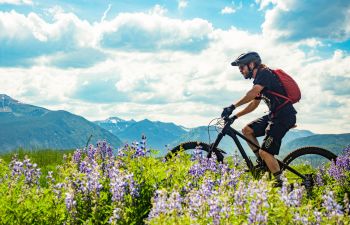 A person rides a bike in a field of wildflowers
