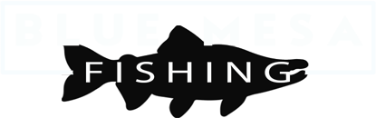 two women stand next to each other holding up two fish apiece after a day of fishing with Blue Mesa Fishing.