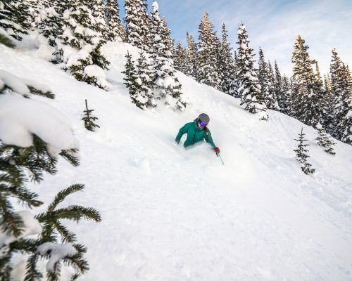 Skiing the North Face at Crested Butte on a powder day.