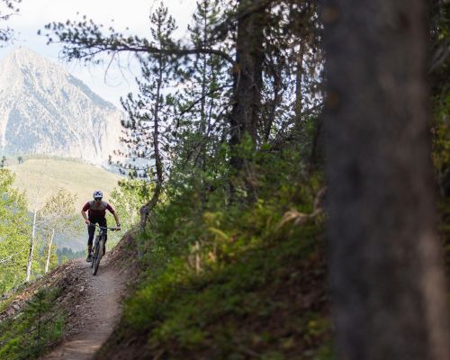 mountain-biking-crested-butte-colorado