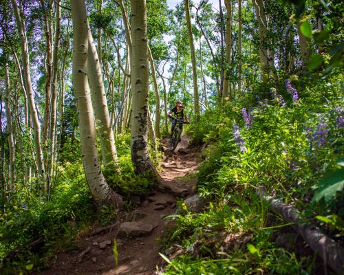 Mountain biking on Strand Hill trail in summer