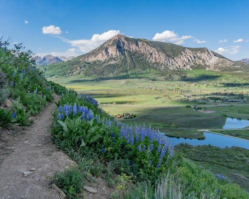 brush creek crested butte