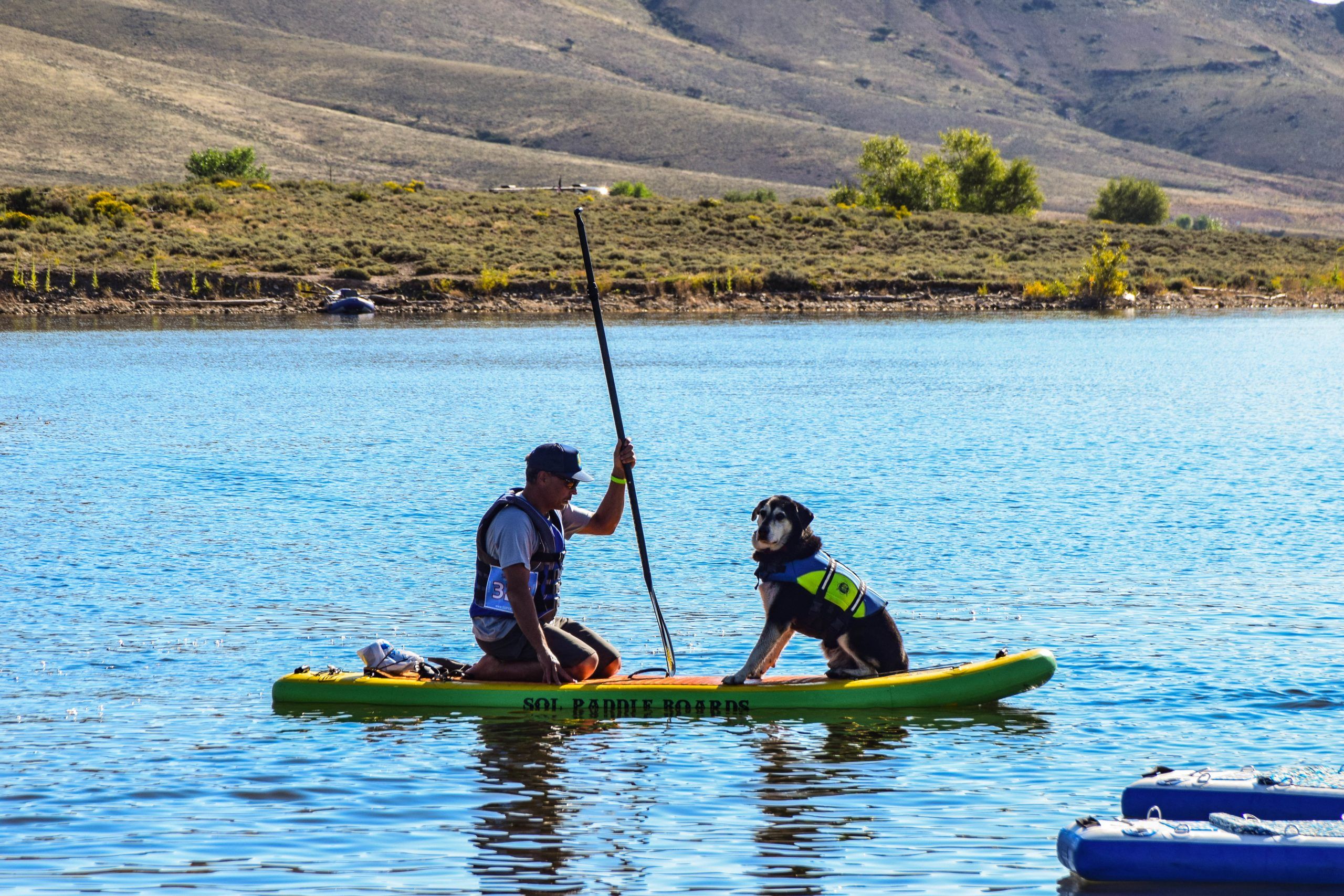 A dog and a person SUP on Blue Mesa Reservoir in Gunnison, Colorado.
