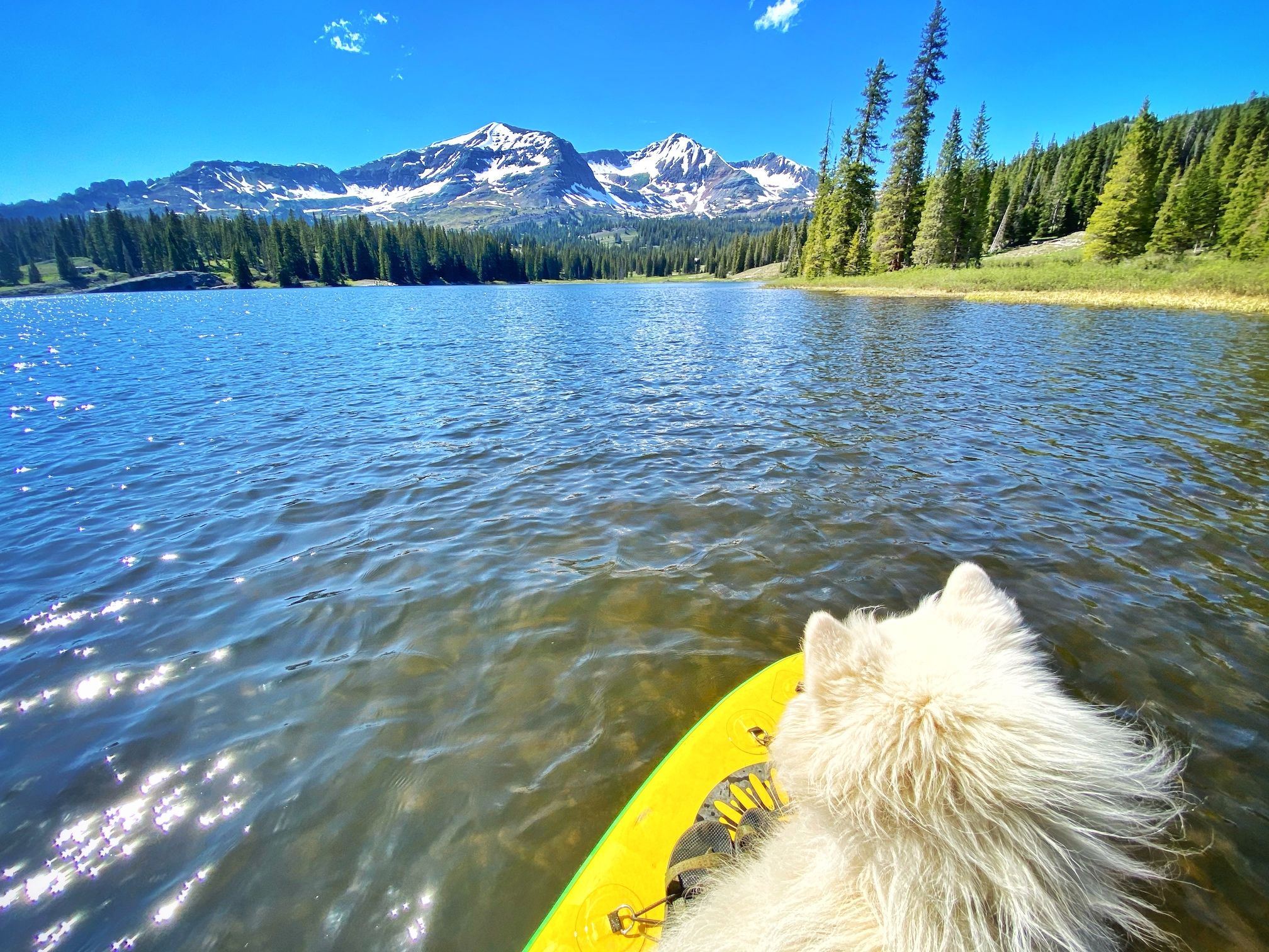 a dog on a SUP on lake irwin for a Colorado SUP vacation. the lake is lined with mountain peaks and trees