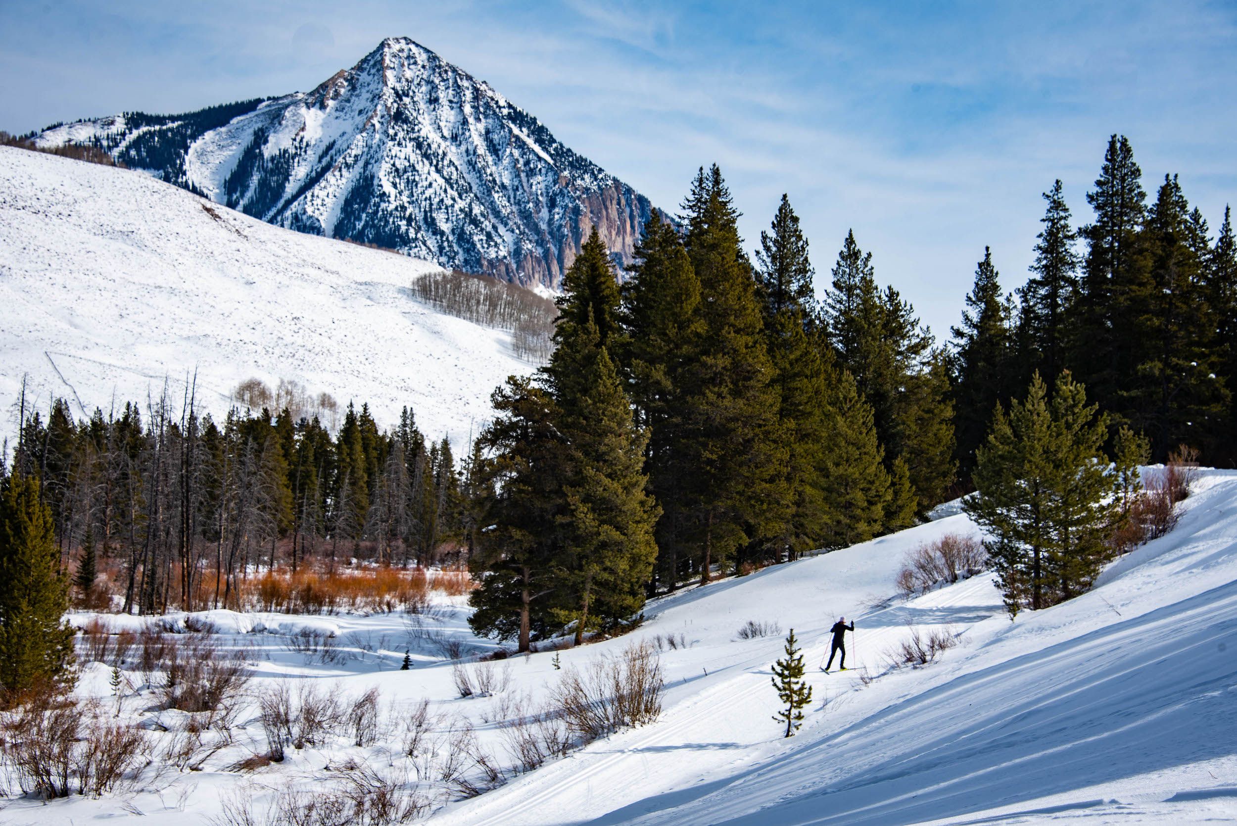 A cross-country skier heads up a trail lined with trees and a mountain peak in the background