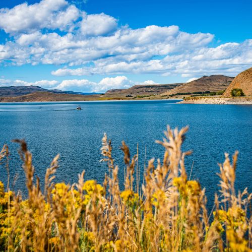 A lakeshore. Blue Mesa Reservoir is the largest lake in Colorado