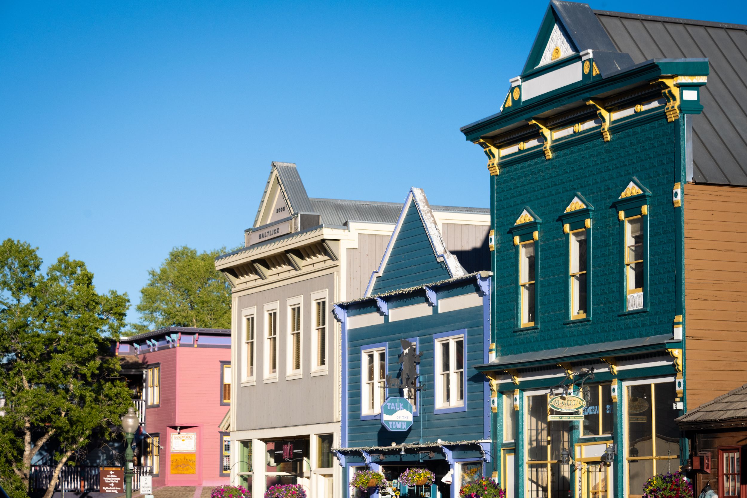 elk ave crested butte colorado