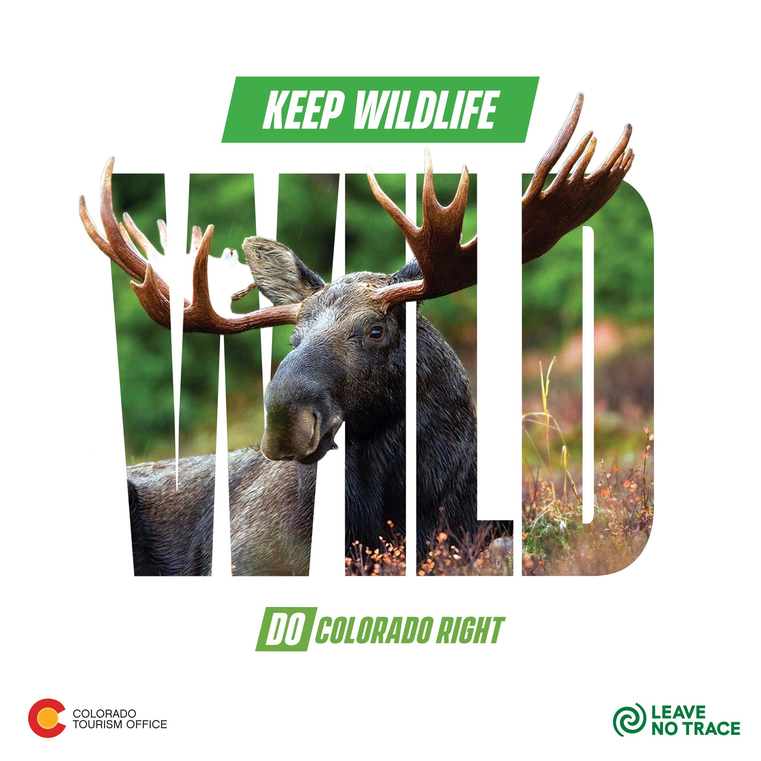 Keep wildlife wild