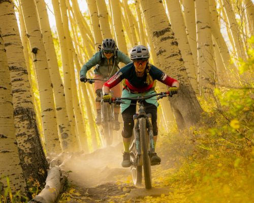 MTB crew in the fall