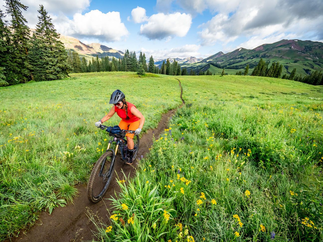 a woman rides a bike on a path through a field of wildflowers