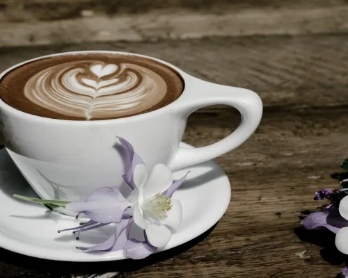 coffee-lab-crested-butte-latte