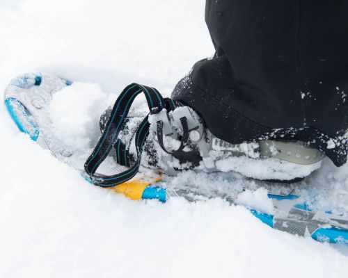 a close-up shot of a snowshoe. Snowshoeing is a fun way to get outside during the winter in Crested Butte, CO