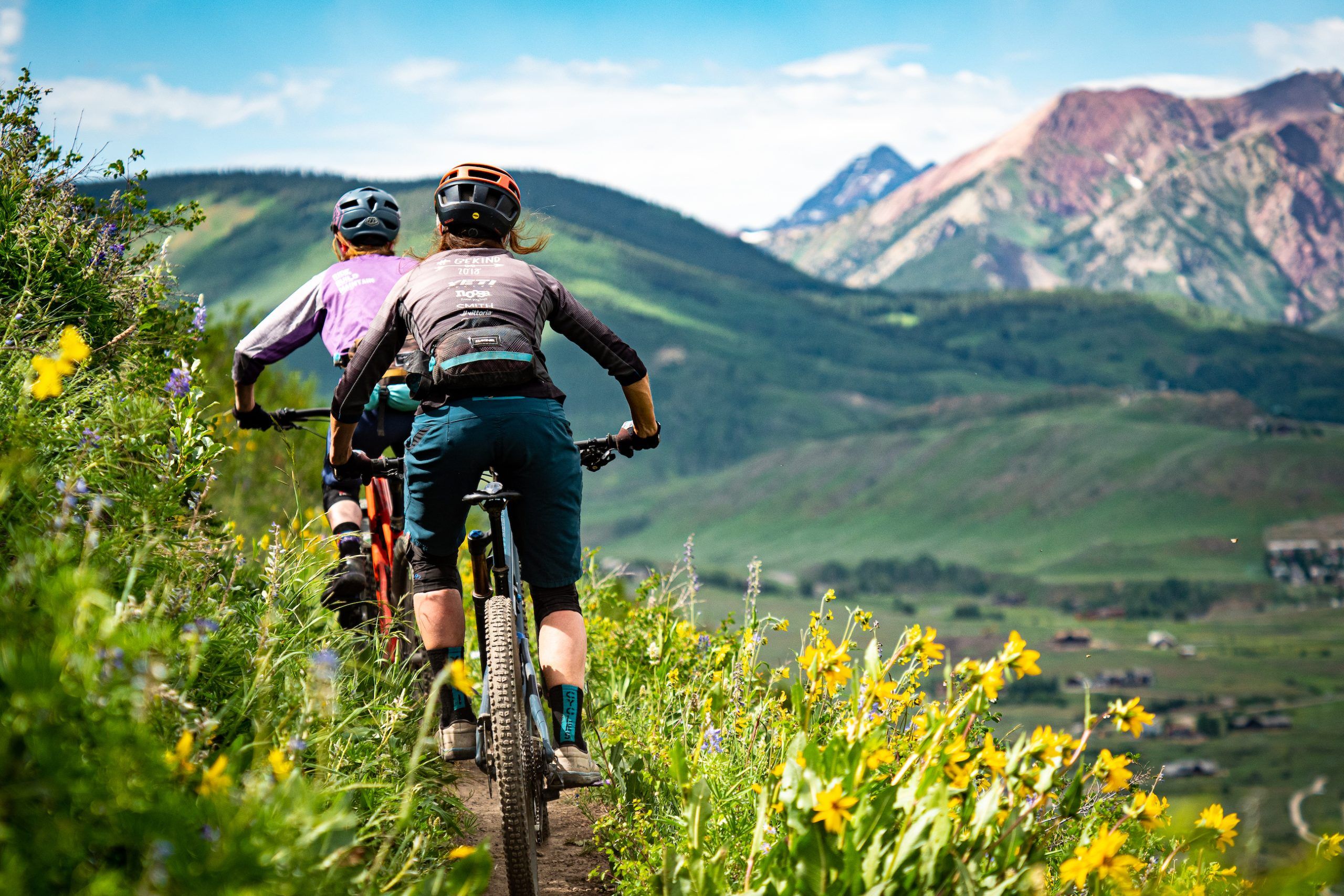 Two people ride bikes on a trail through wildflowers