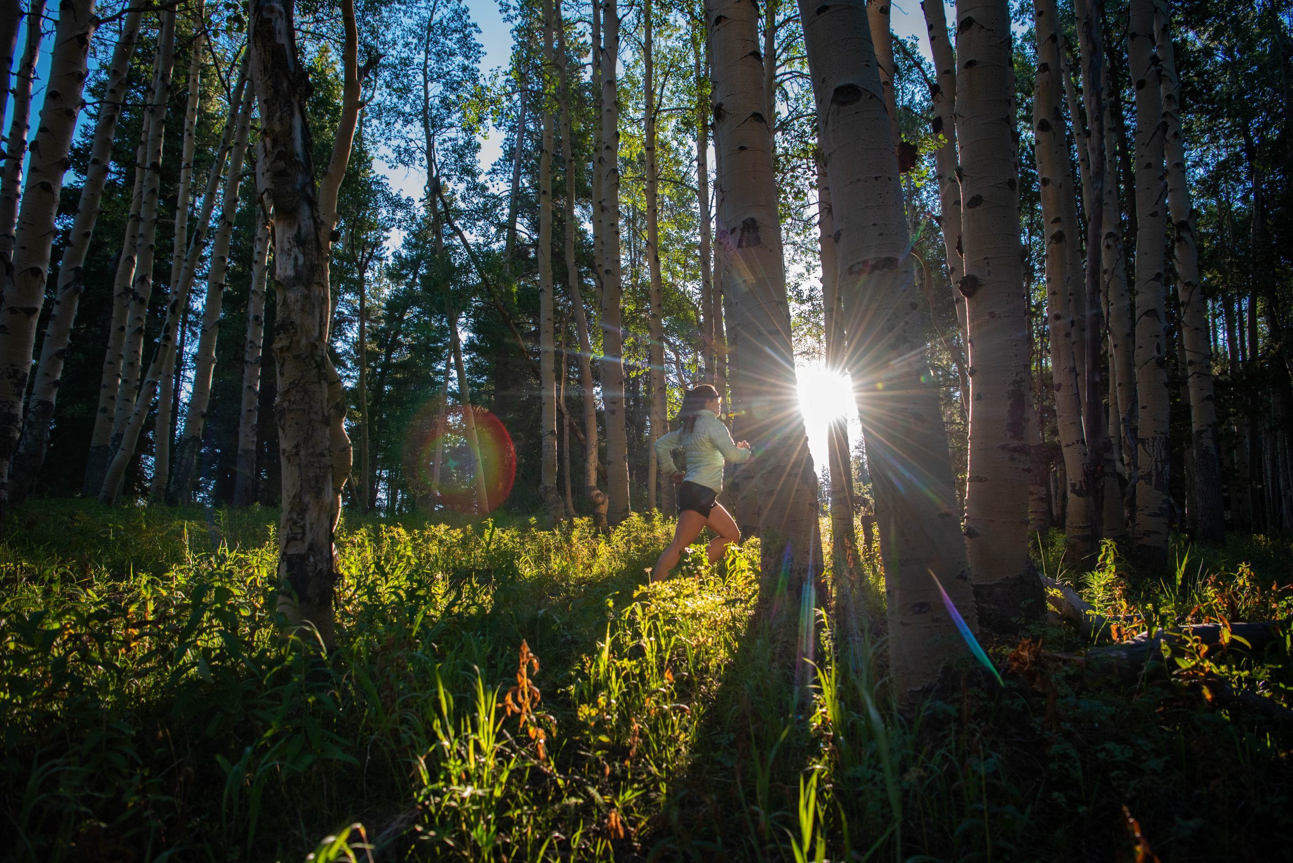 A trail runner running through aspen trees in Crested Butte, Colorado.