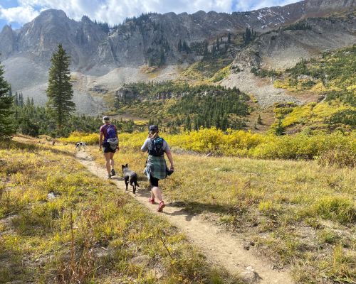 hikers on singletrack