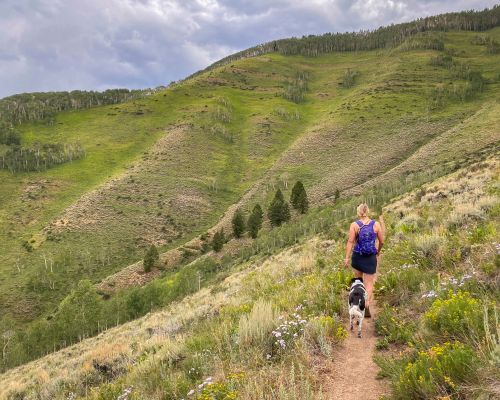 walrod-trail-hike-crested-butte-colorado