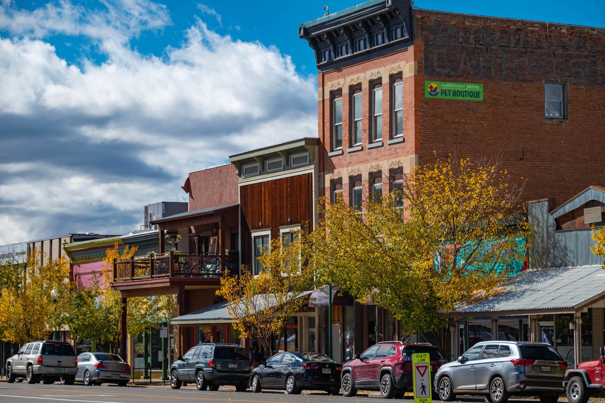 a downtown street lined with trees with changed leaves