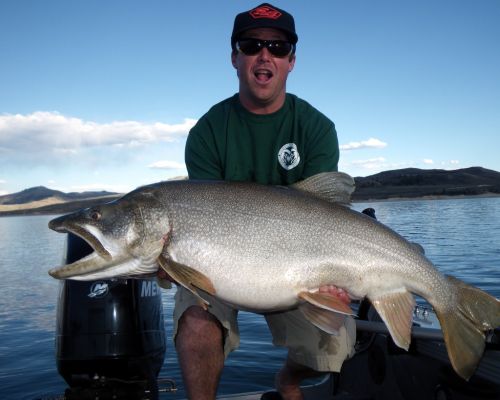 Elk Creek Marina Fishing Blue Mesa Reservoir
