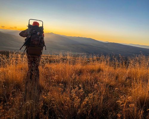hunting-gunnison-valley