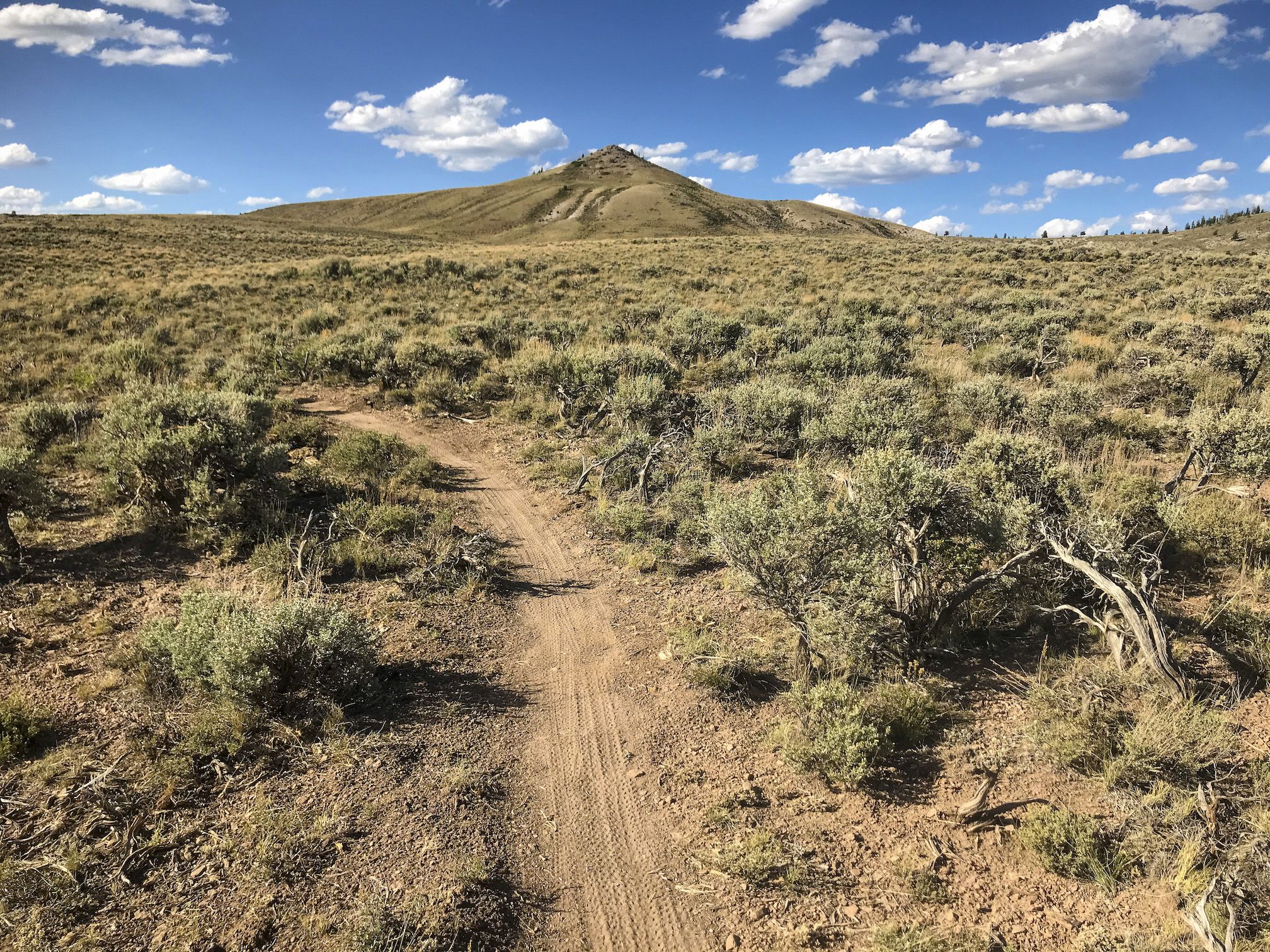 a trail going through sagebrush