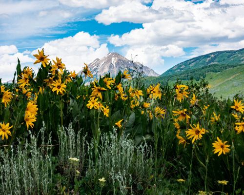 Crested Butte Mountain