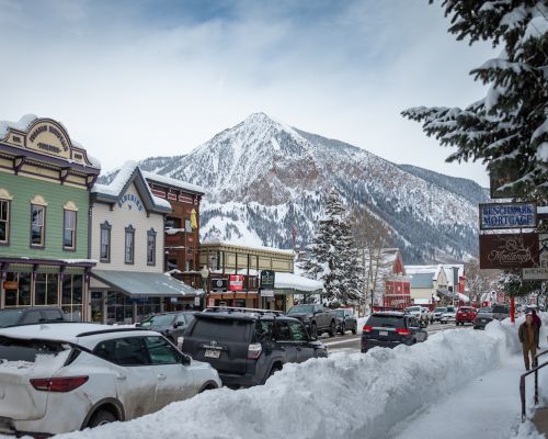 winter elk avenue crested butte