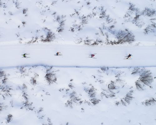 Cross-country skiers in Crested Butte, Colorado
