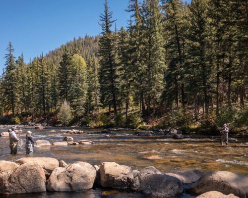 taylor-river-anglers