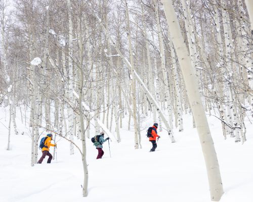 backcountry-skiing-crested-butte-colorado