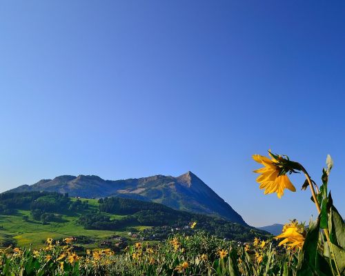 Signature Properties in Crested Butte, CO
