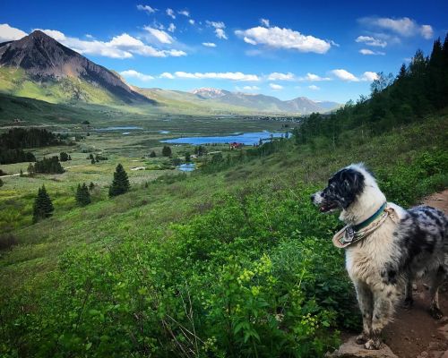 lower loop trail crested butte