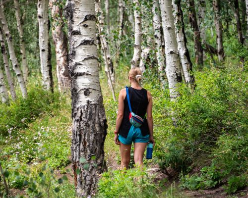 a woman hiking in brush creek through an aspen grove