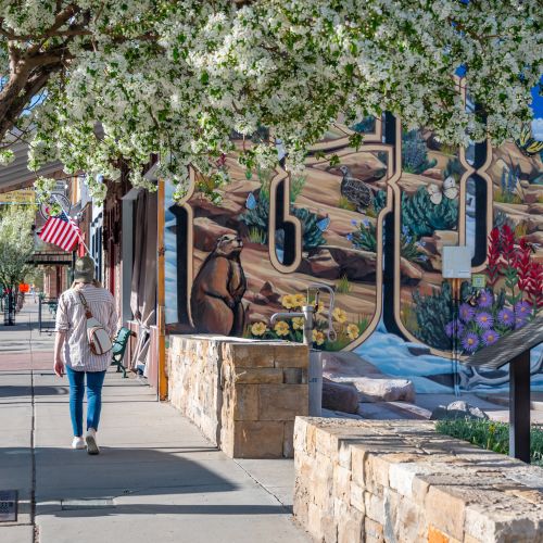 a person rides a bike on downtown street