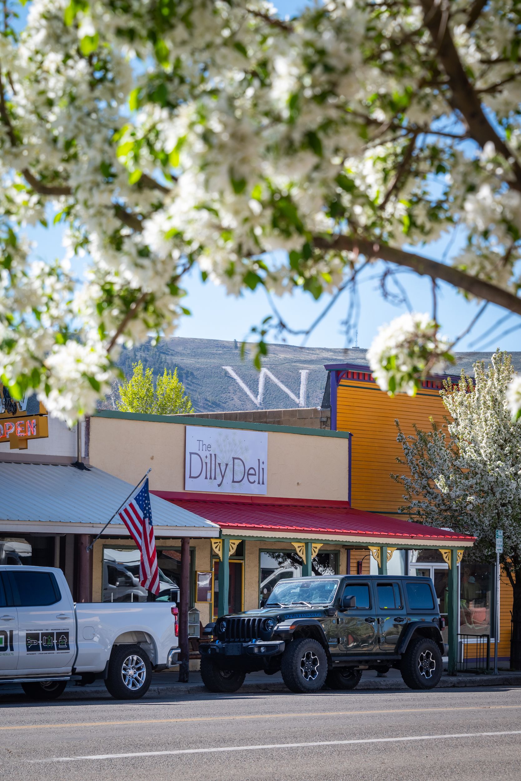 dilly deli gunnison colorado