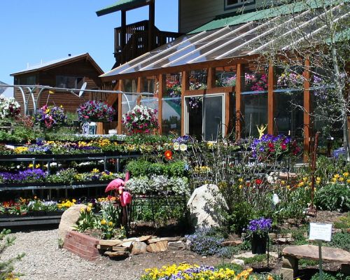 Alpengardener in Crested Butte, an outdoor garden center with rows of flowers and plants. A building with large windows sits behind the garden.