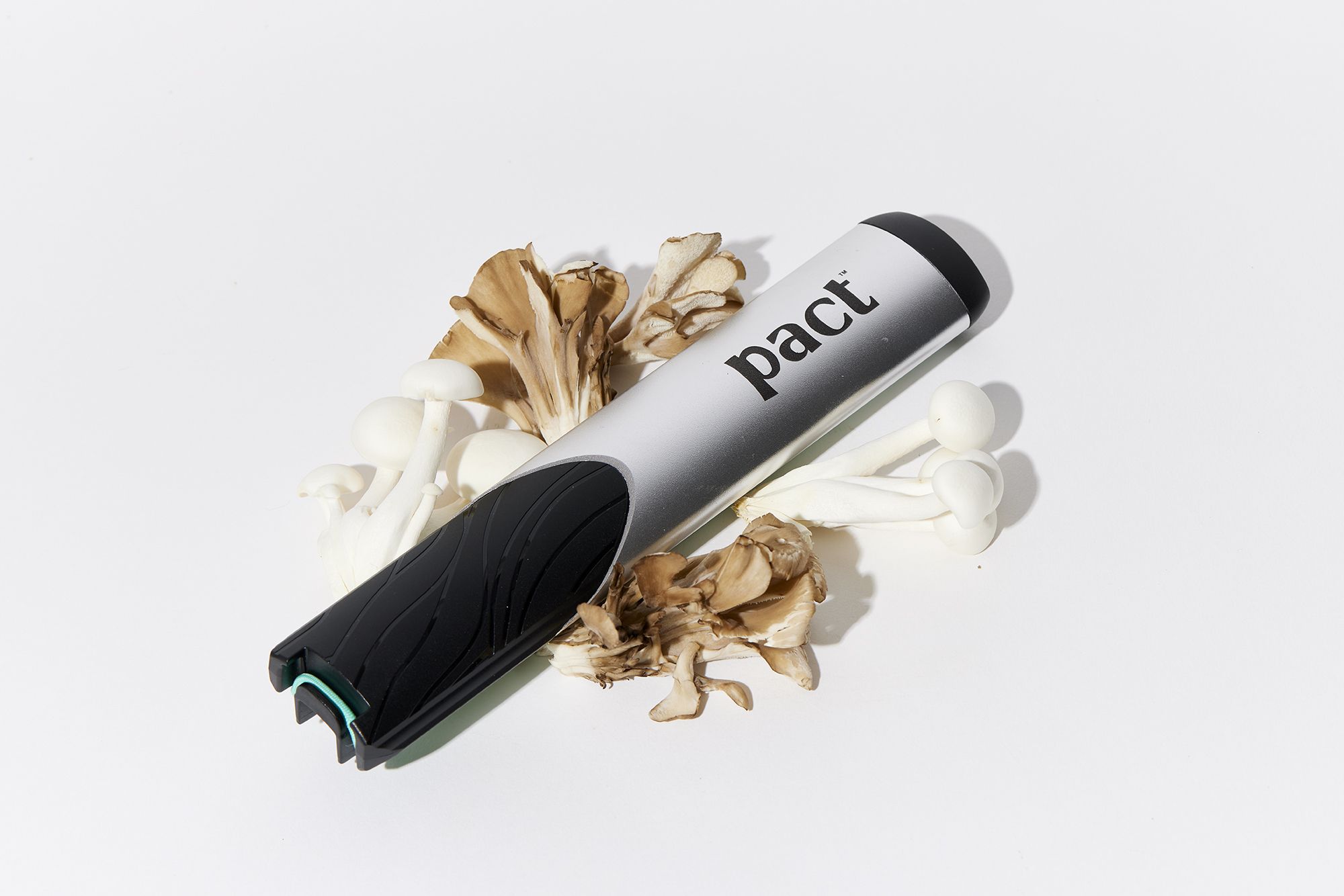 A black and silver rectangle that says "pact" sits on top of some mushrooms.