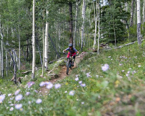 Spring mountain biking through wildflowers and aspen trees in Crested Butte, Colorado.