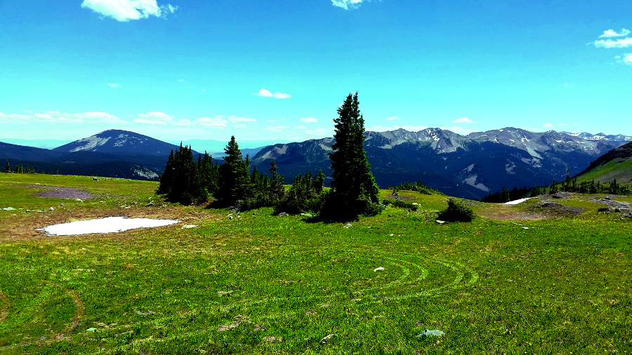 tire tracks in an alpine meadow